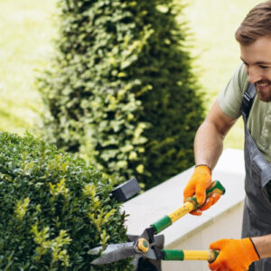 projects hero bg.jpg